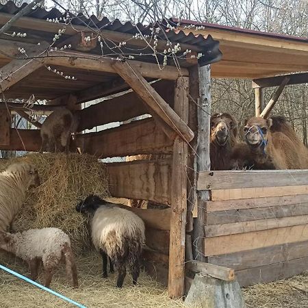Apartman U Kocky Бланско Екстериор снимка